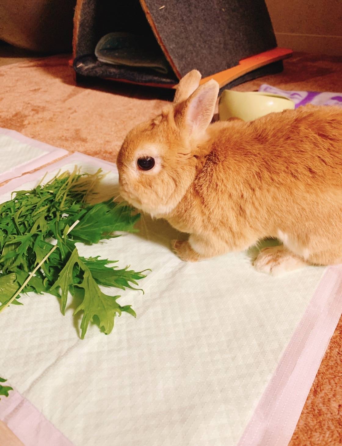 対話のイメージ