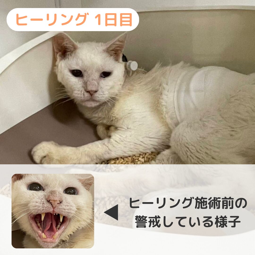 はるきさん 施術初期