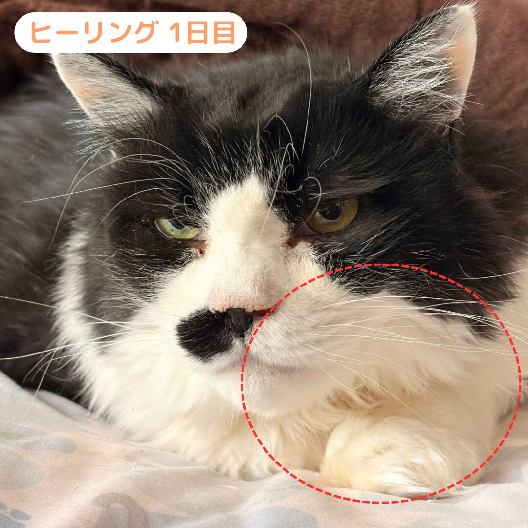 うにさん 施術1日目